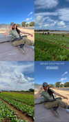 yahel_tubul Altpins Profile Picture