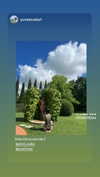 yaheli_ovadya Altpins Profile Picture