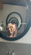 yaheli_ovadya Altpins Profile Picture