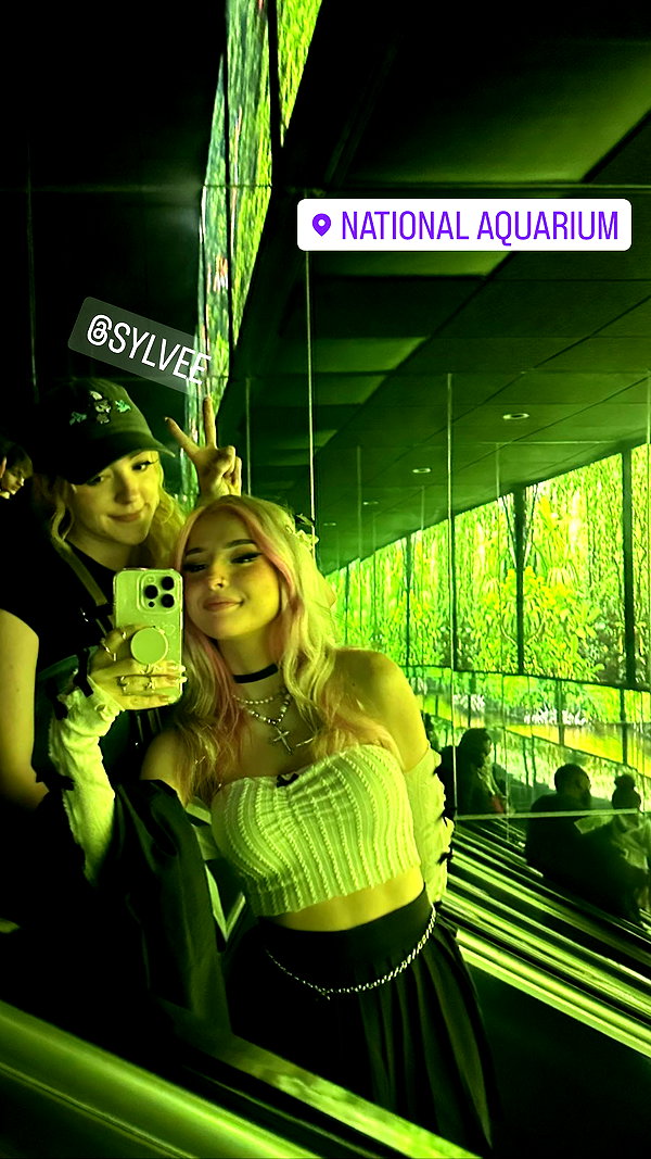 yaminaamane instagram image archive image