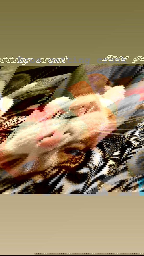 yaminaamane yaminaamane archive image