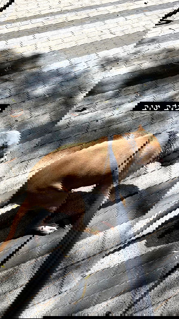 yannaidebeer yannaidebeer archive image