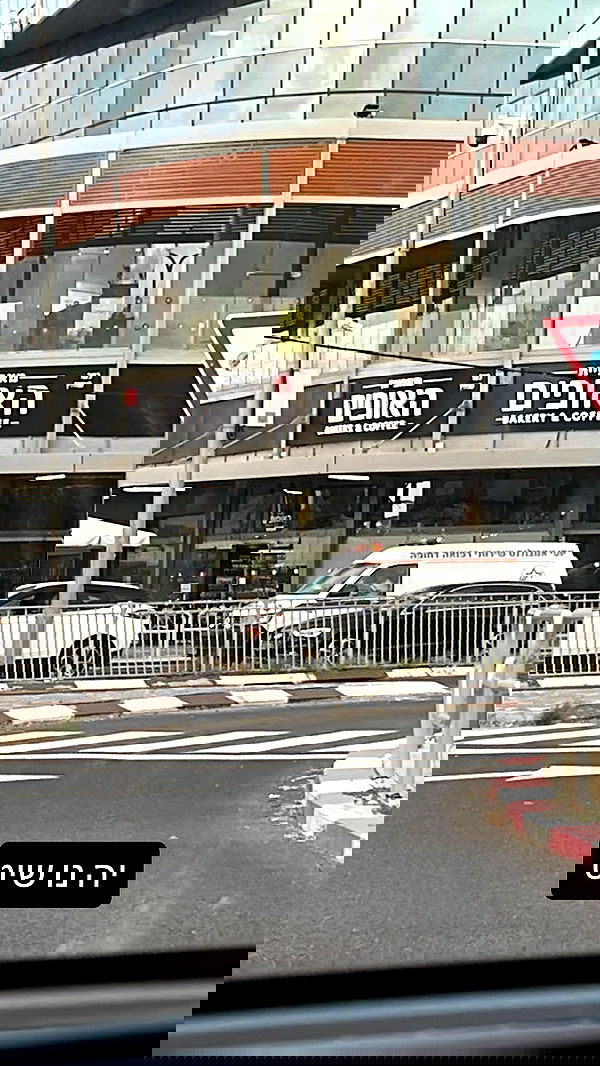 yannaidebeer yannaidebeer archive image