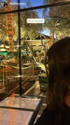 yarden.bengigi Altpins Profile Picture