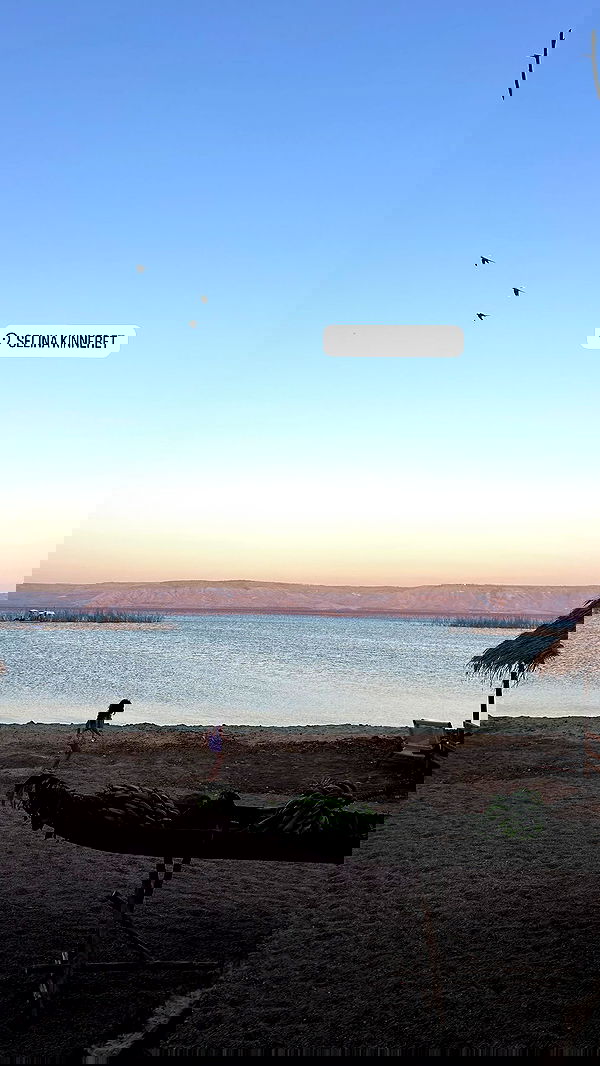 yasmin_kb yasmin_kb archive image