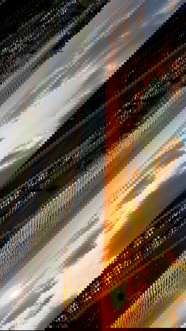 yasmin_kb yasmin_kb archive image