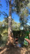 yuliarazi Altpins Profile Picture