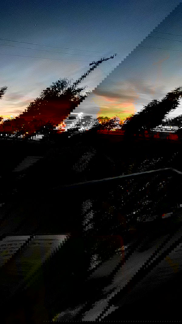 yuliarazi yuliarazi archive image