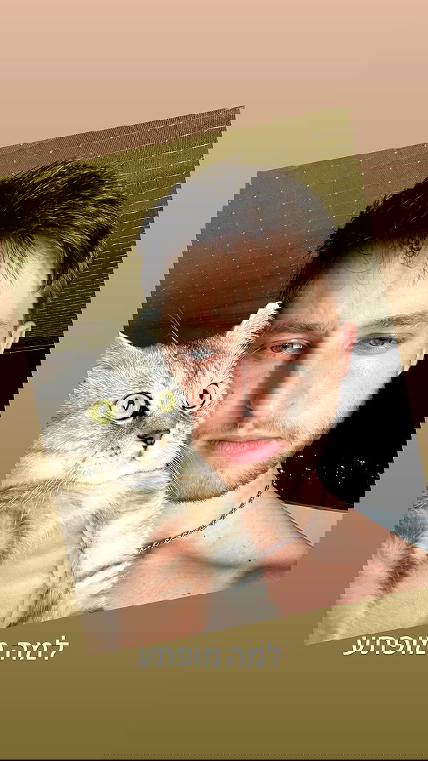 yuri.gever yuri.gever archive image