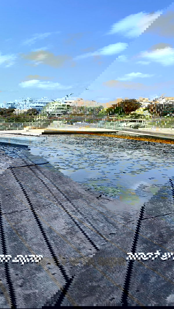 yuri.gever yuri.gever archive image