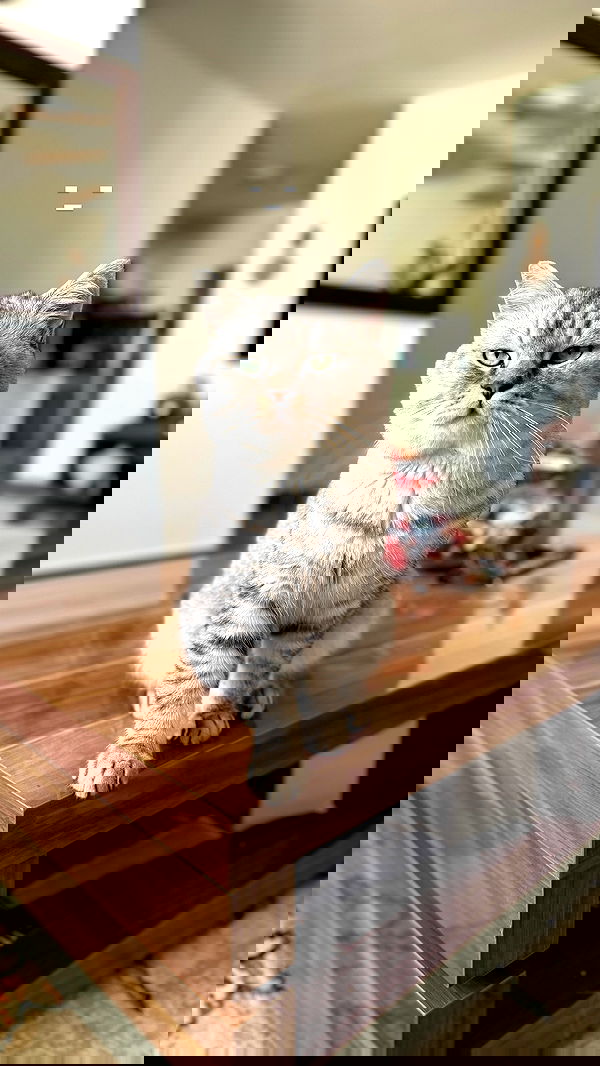 yuri.gever yuri.gever archive image