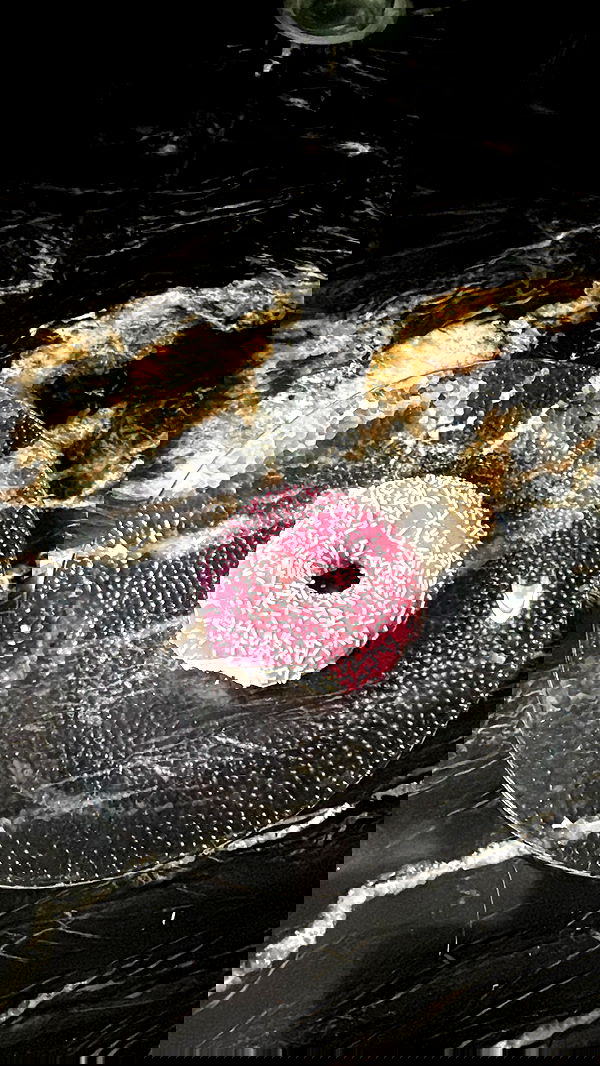 yuri.gever yuri.gever archive image