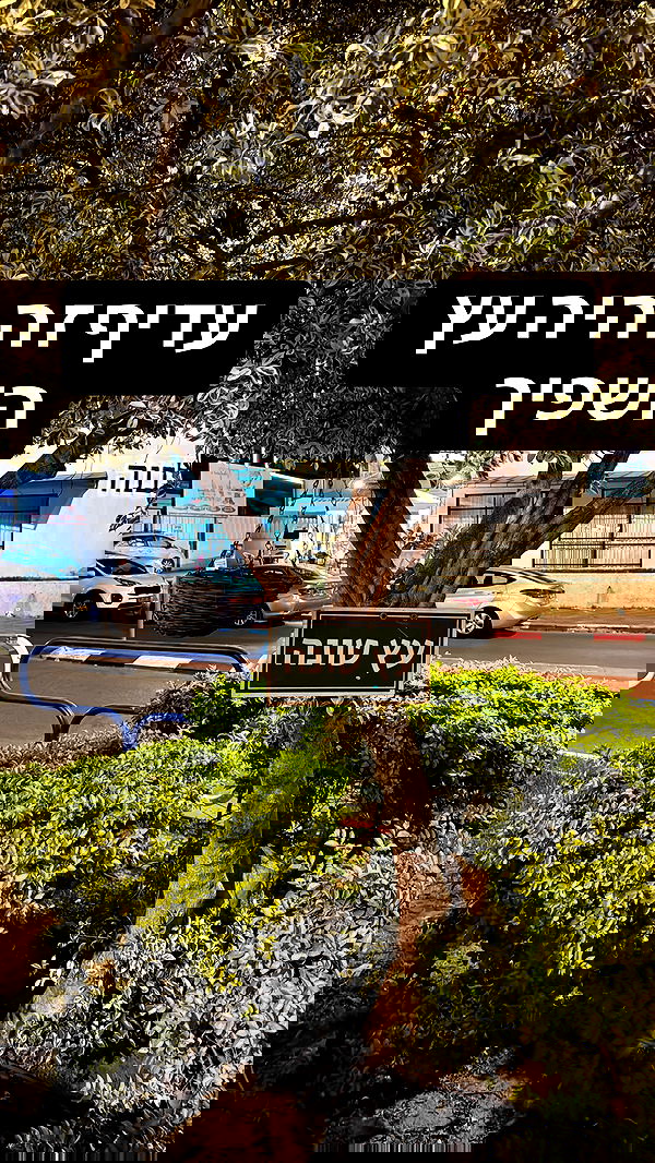 yuri.gever yuri.gever archive image