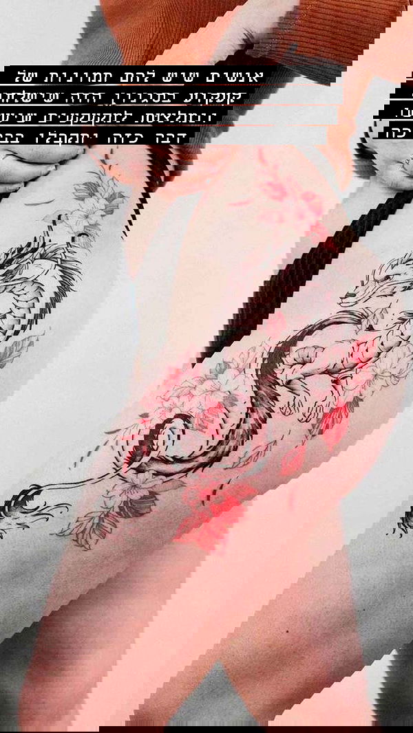 ziv.etach ziv.etach archive image