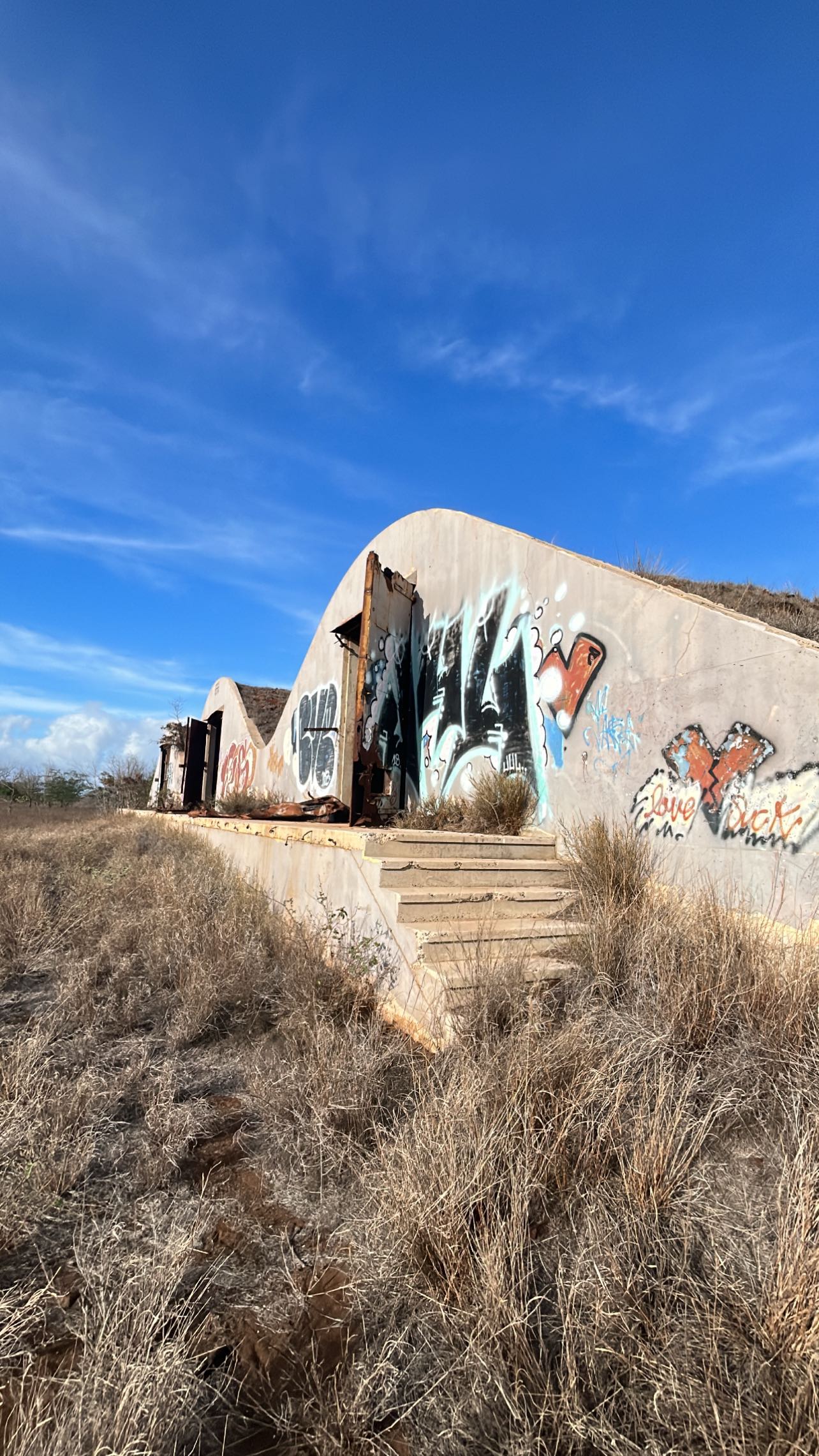 zommmbri instagram image archive image