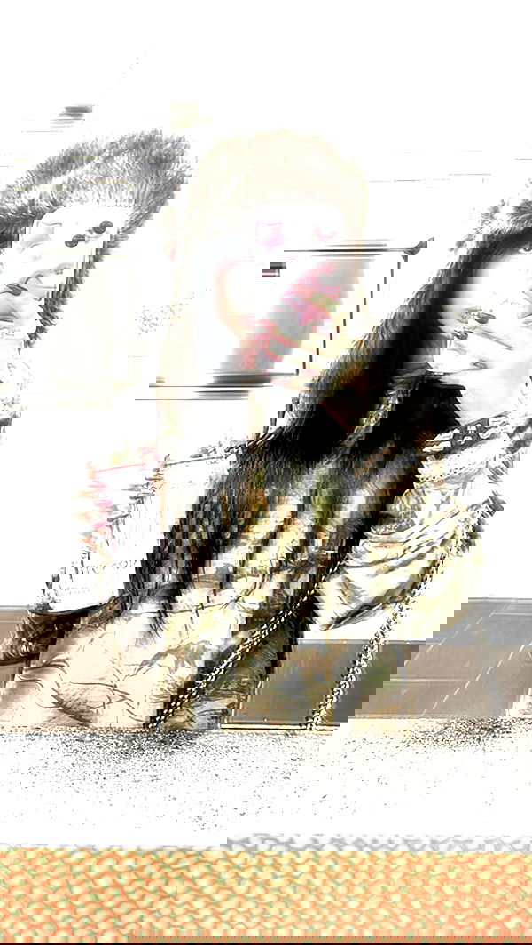 zommmbri image ~ Altpins