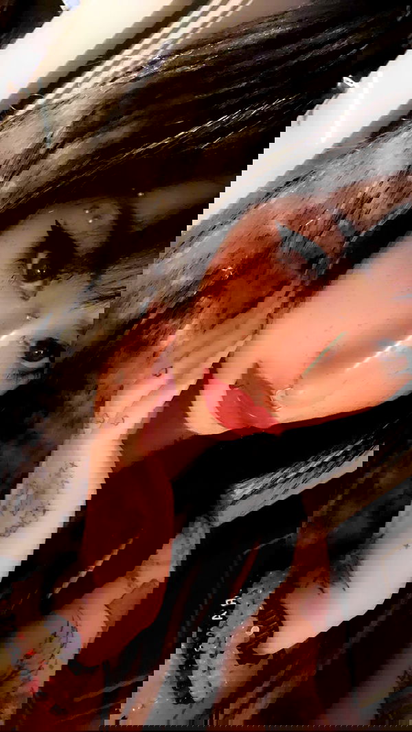 zommmbri image ~ Altpins