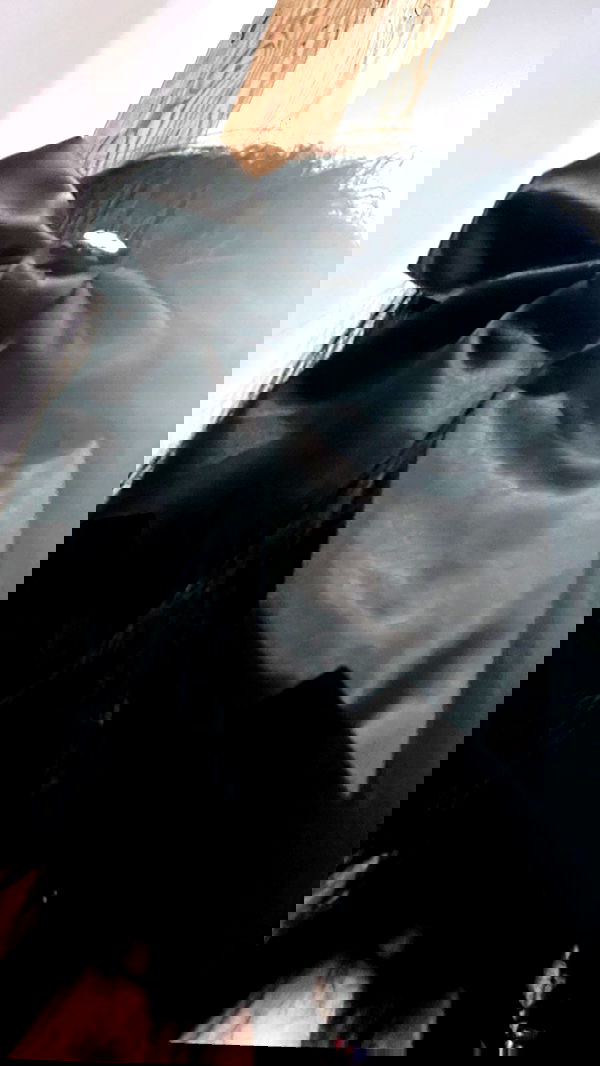 zommmbri image ~ Altpins