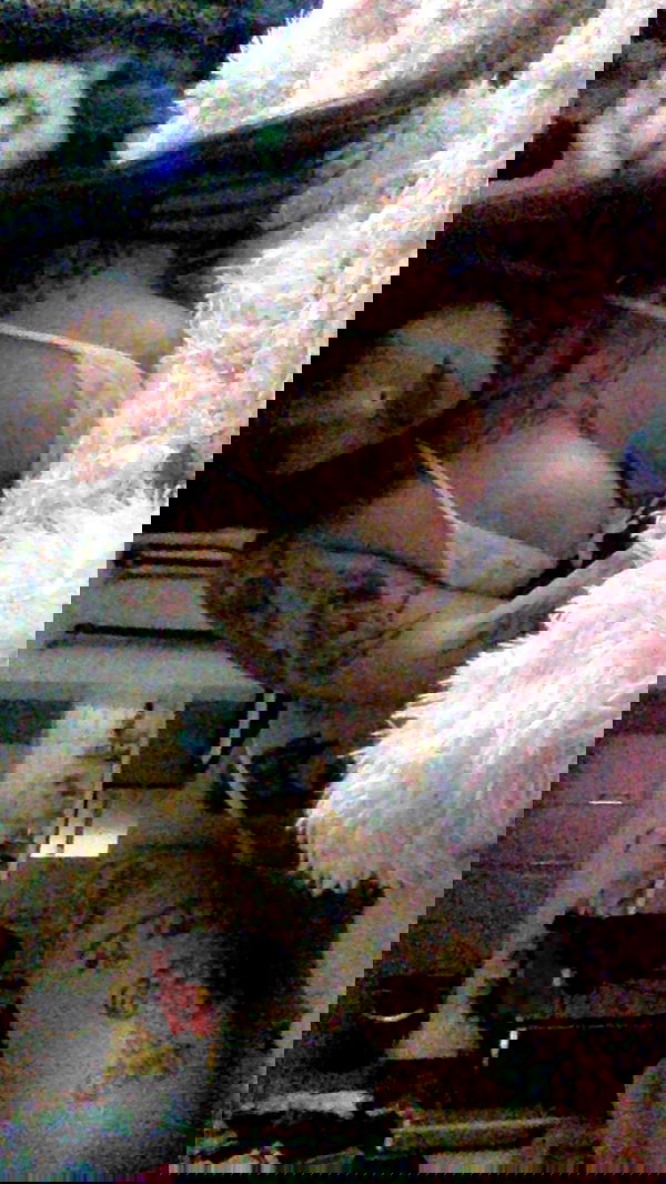 zommmbri image ~ Altpins