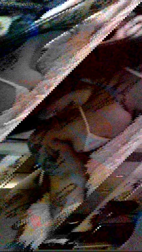 zommmbri image ~ Altpins