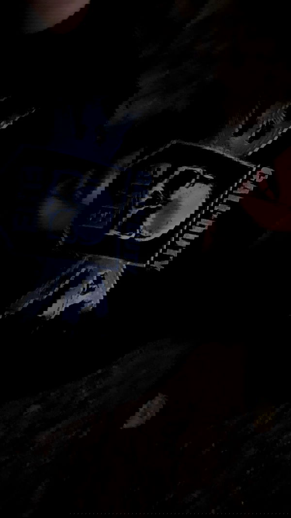 zommmbri image ~ Altpins