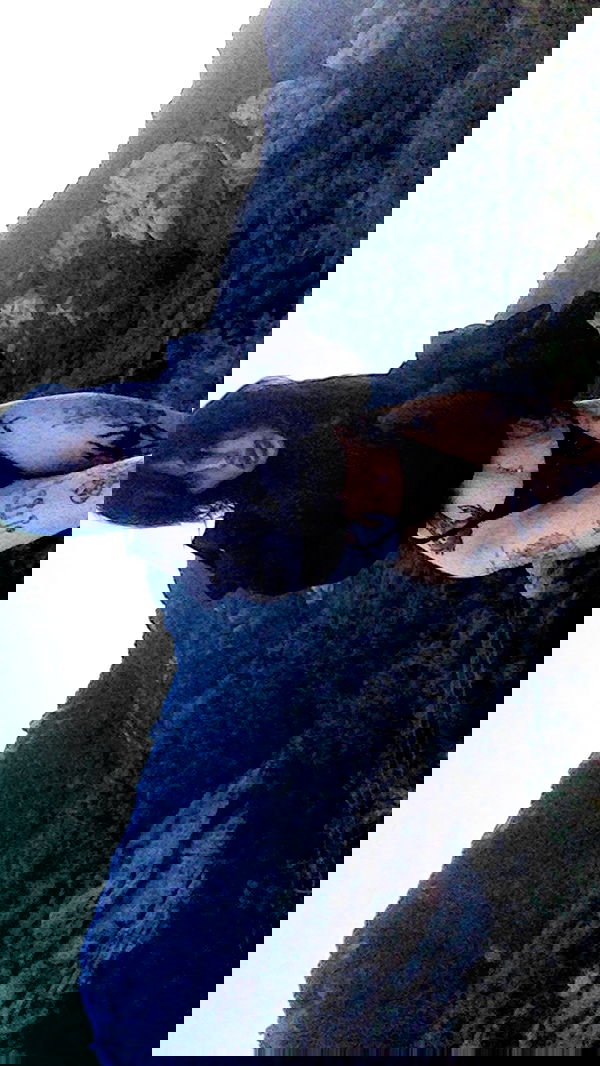 zommmbri image ~ Altpins