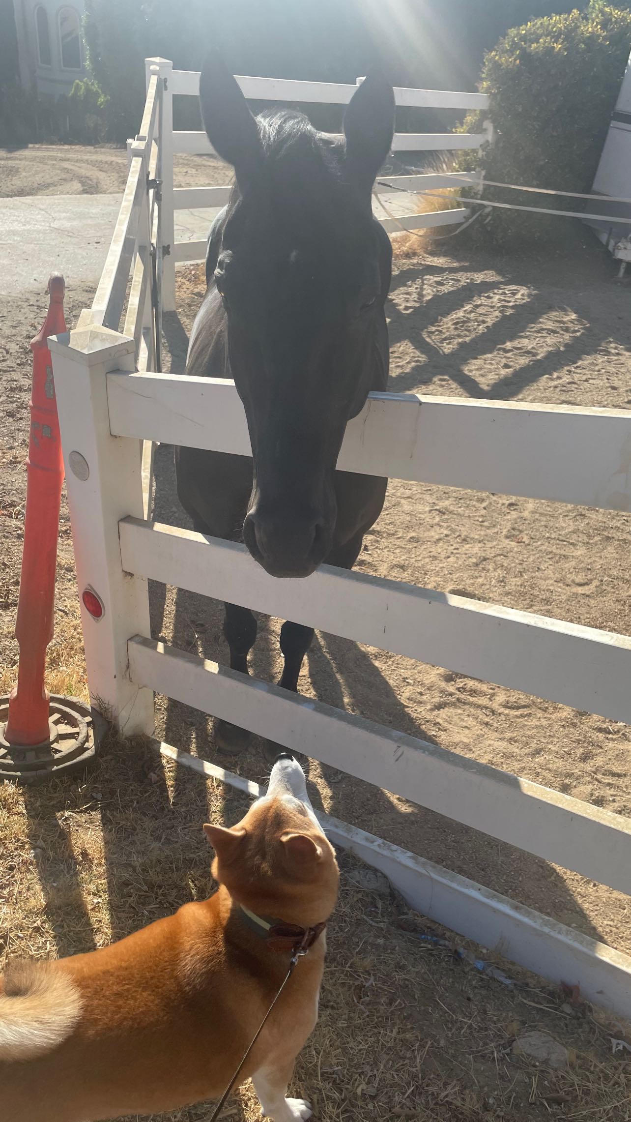 zommmbri instagram image archive image