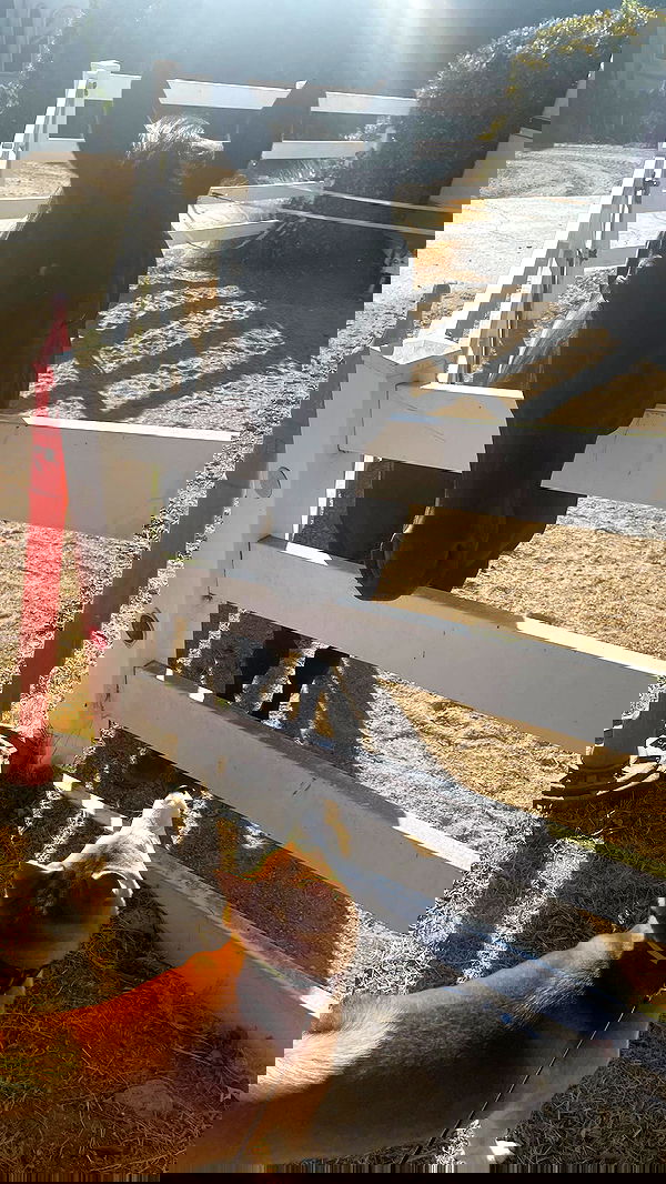 zommmbri image ~ Altpins