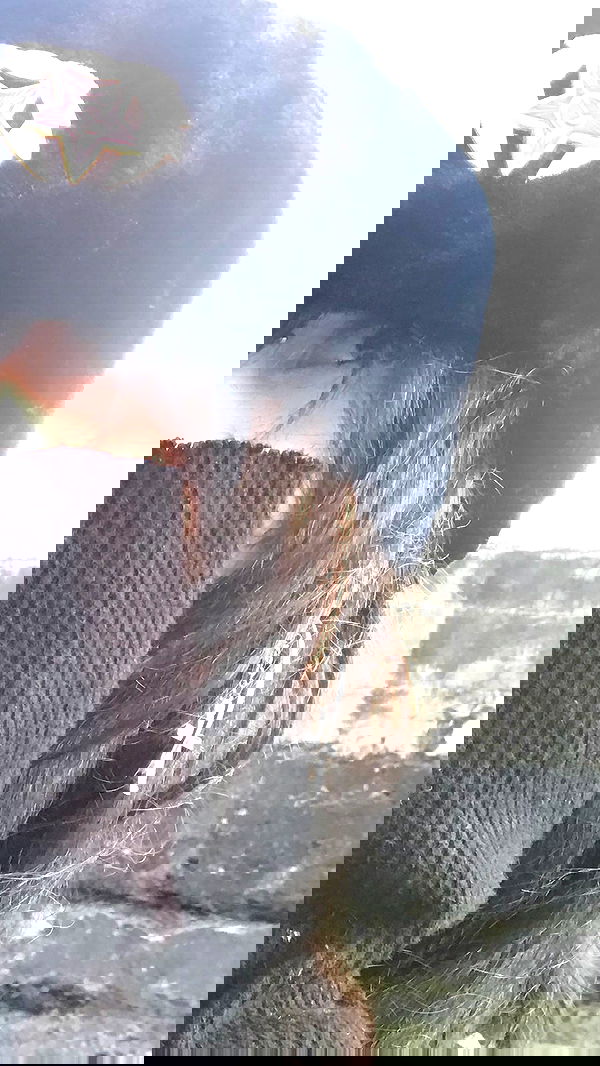 zommmbri image ~ Altpins