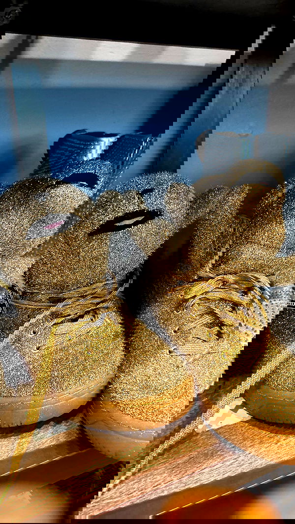 zommmbri image ~ Altpins