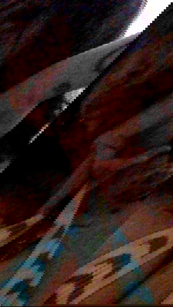 zommmbri image ~ Altpins