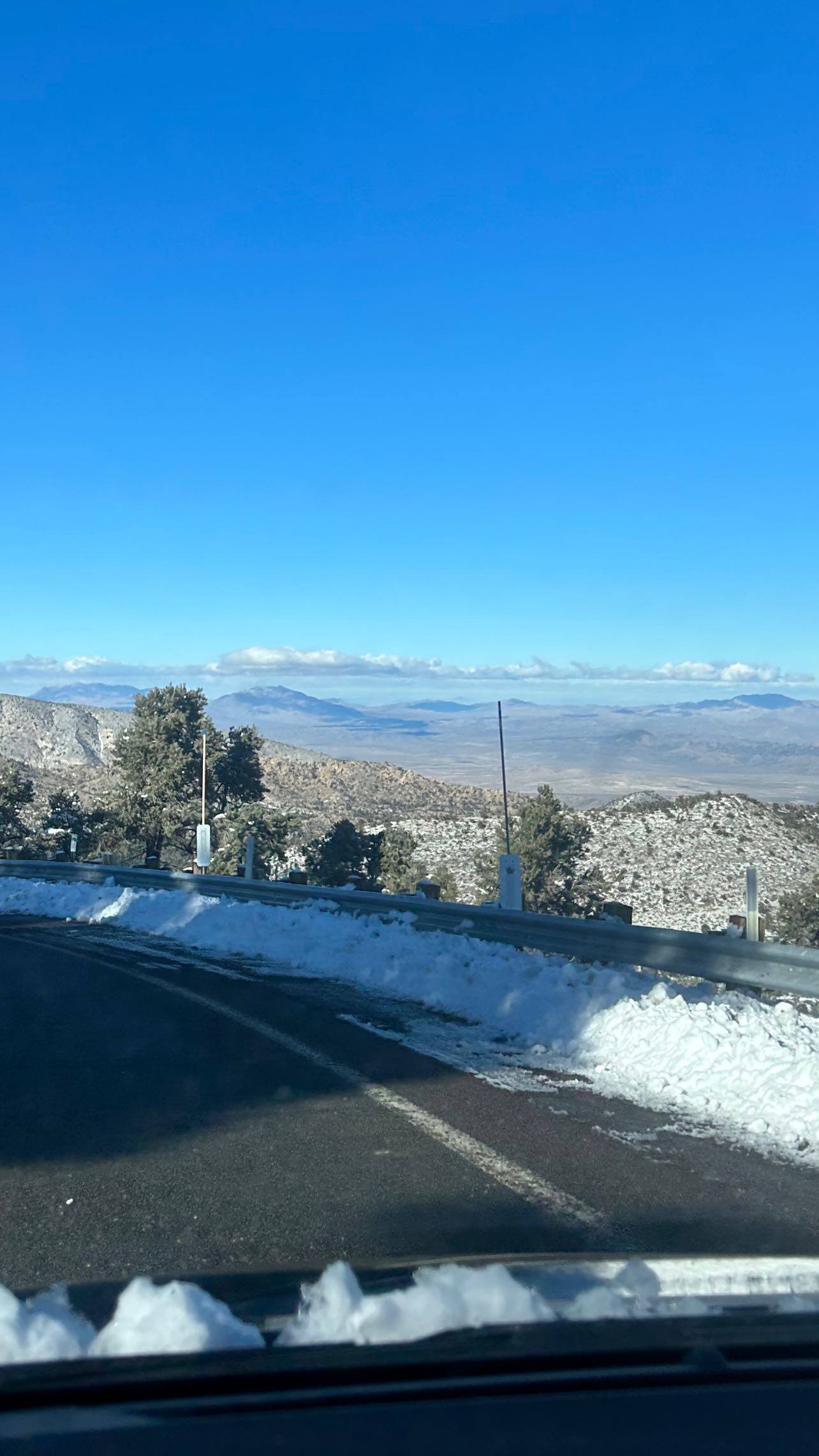 zommmbri instagram image archive image