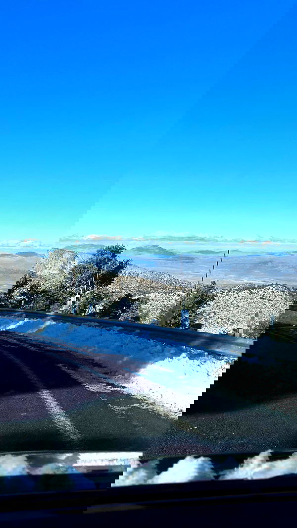 zommmbri image ~ Altpins