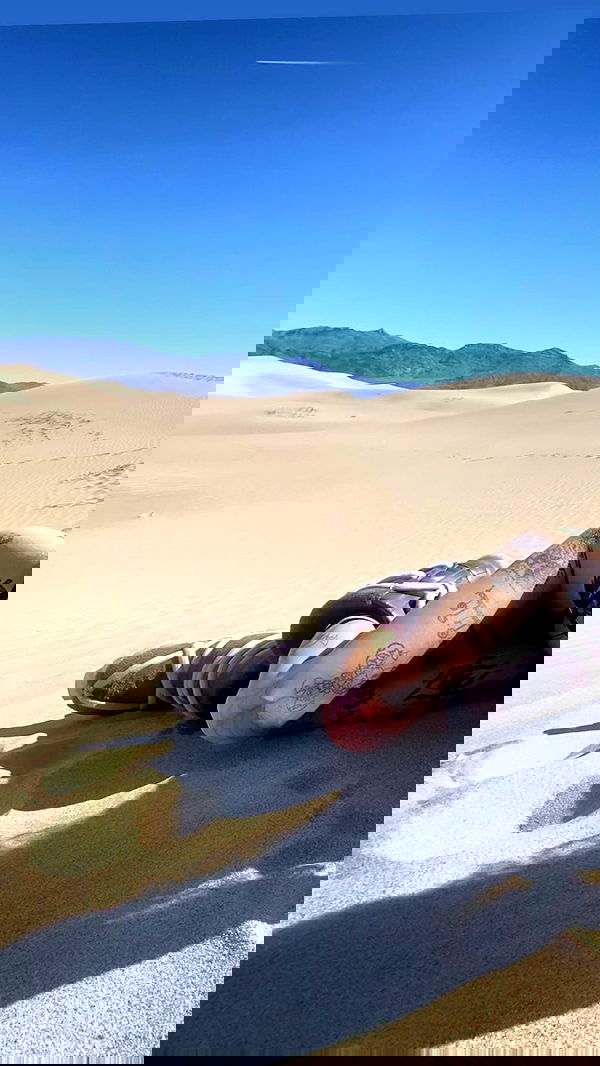 zommmbri image ~ Altpins