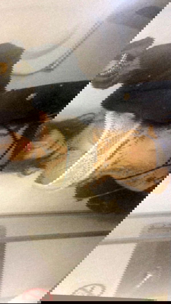 zommmbri image ~ Altpins