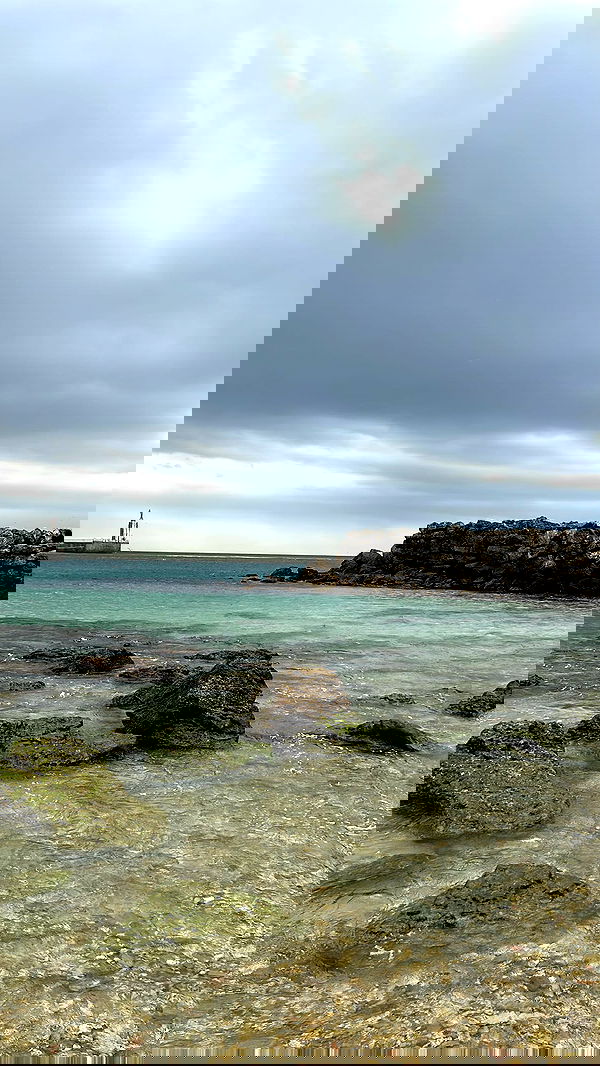 zommmbri image ~ Altpins