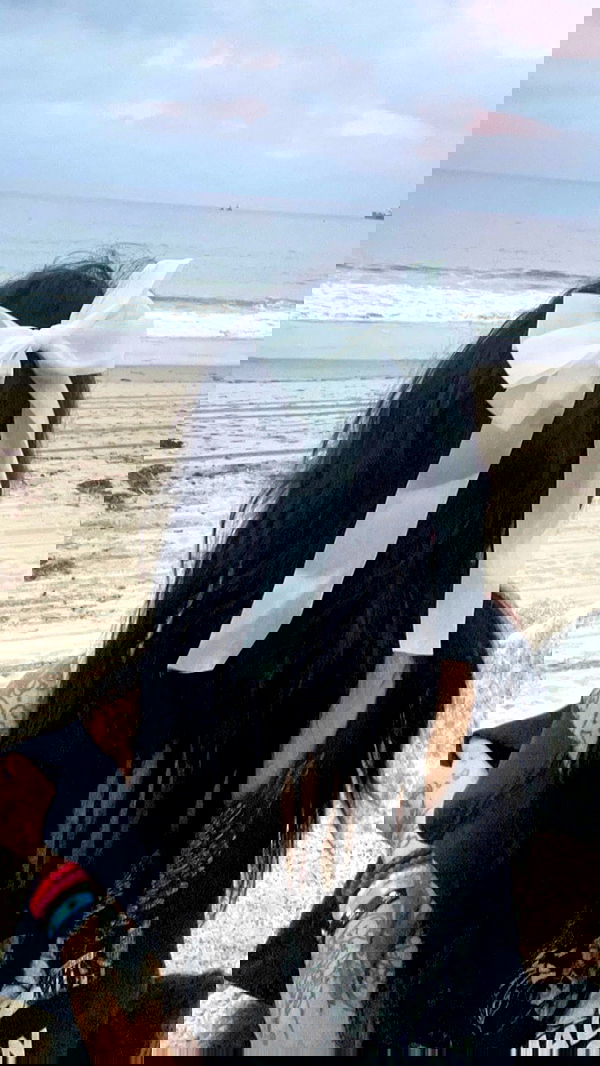 zommmbri image ~ Altpins