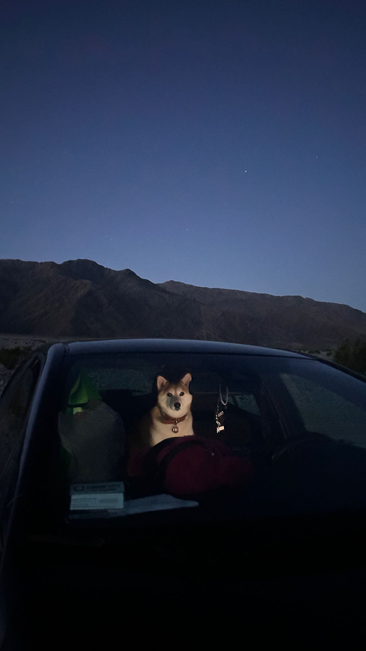 zommmbri instagram image archive image