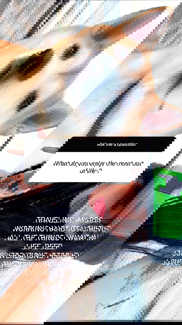 zommmbri image ~ Altpins