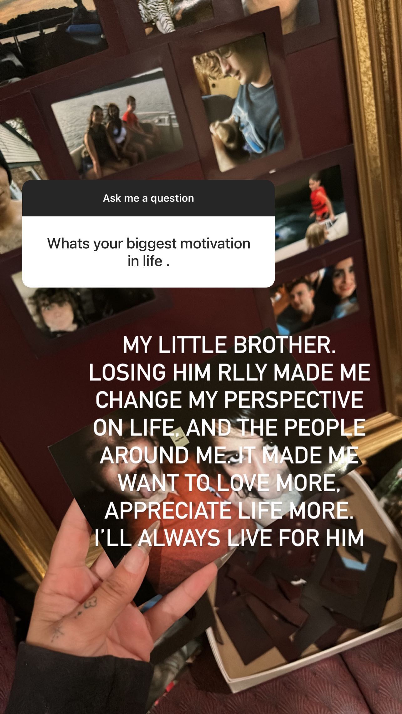 zommmbri instagram image archive image