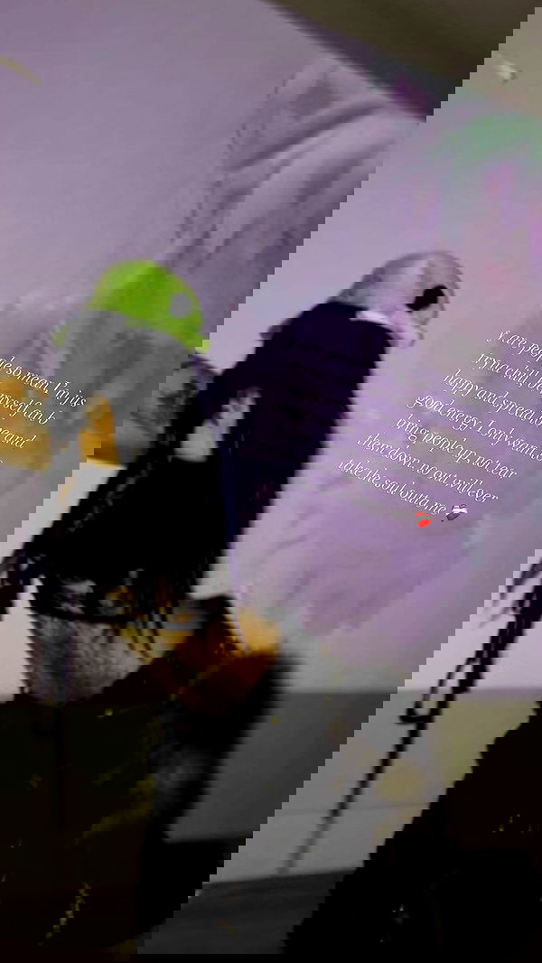 zommmbri image ~ Altpins