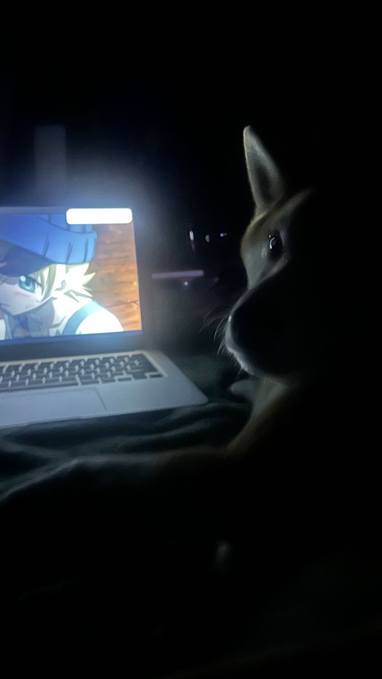 zommmbri instagram image archive image