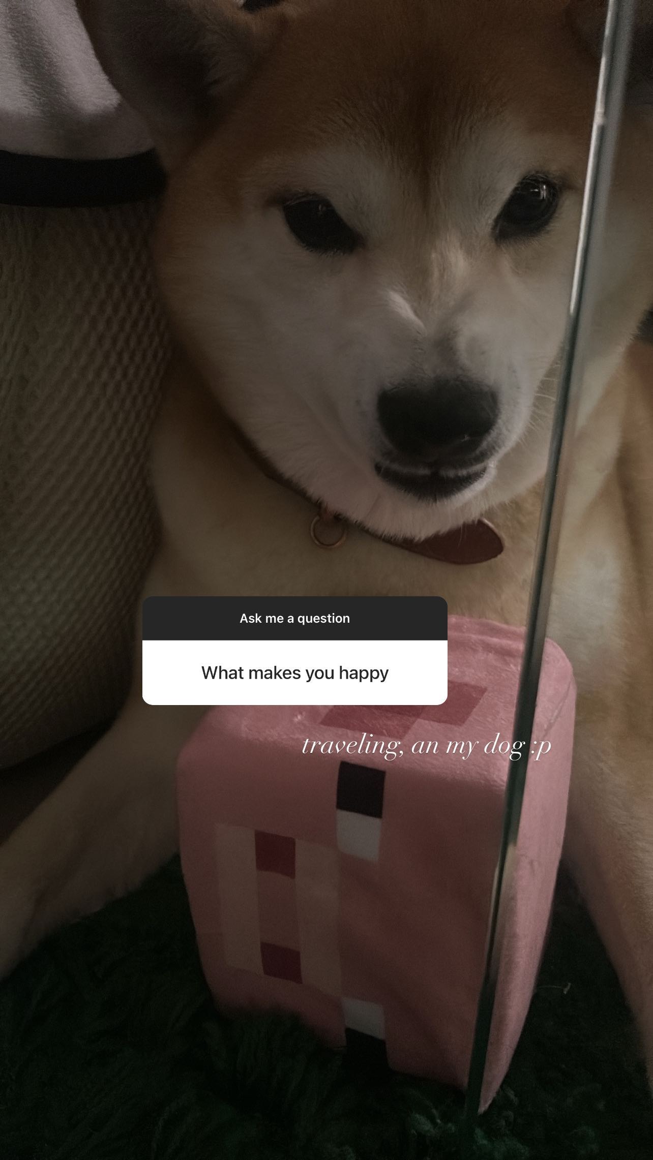 zommmbri instagram image archive image