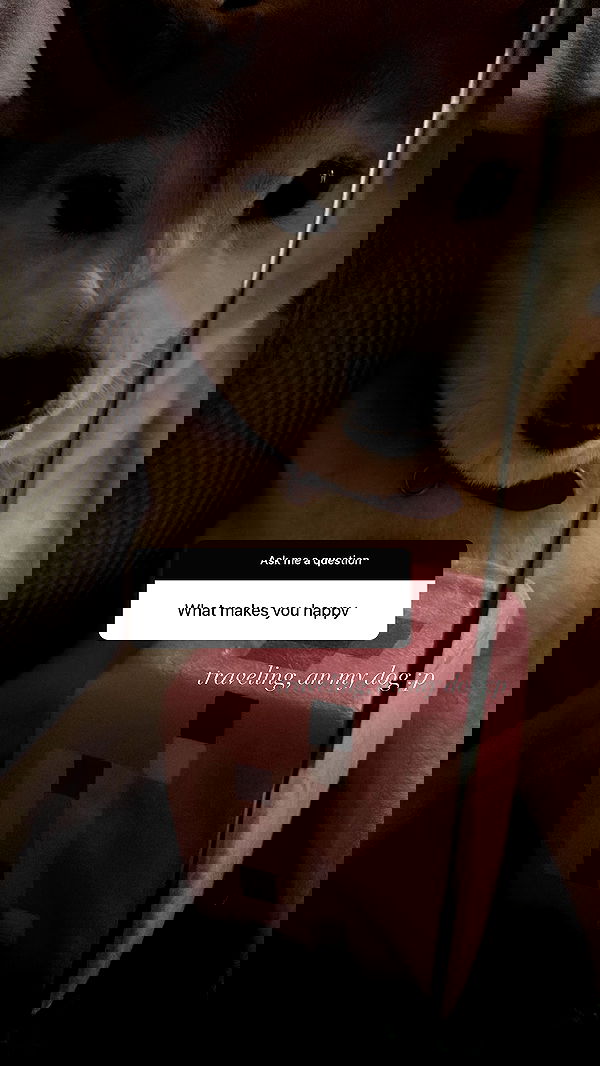 zommmbri image ~ Altpins