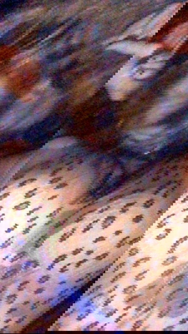 zommmbri image ~ Altpins