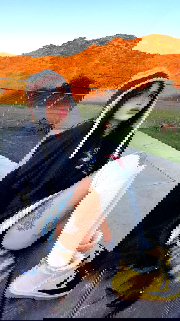 zommmbri image ~ Altpins