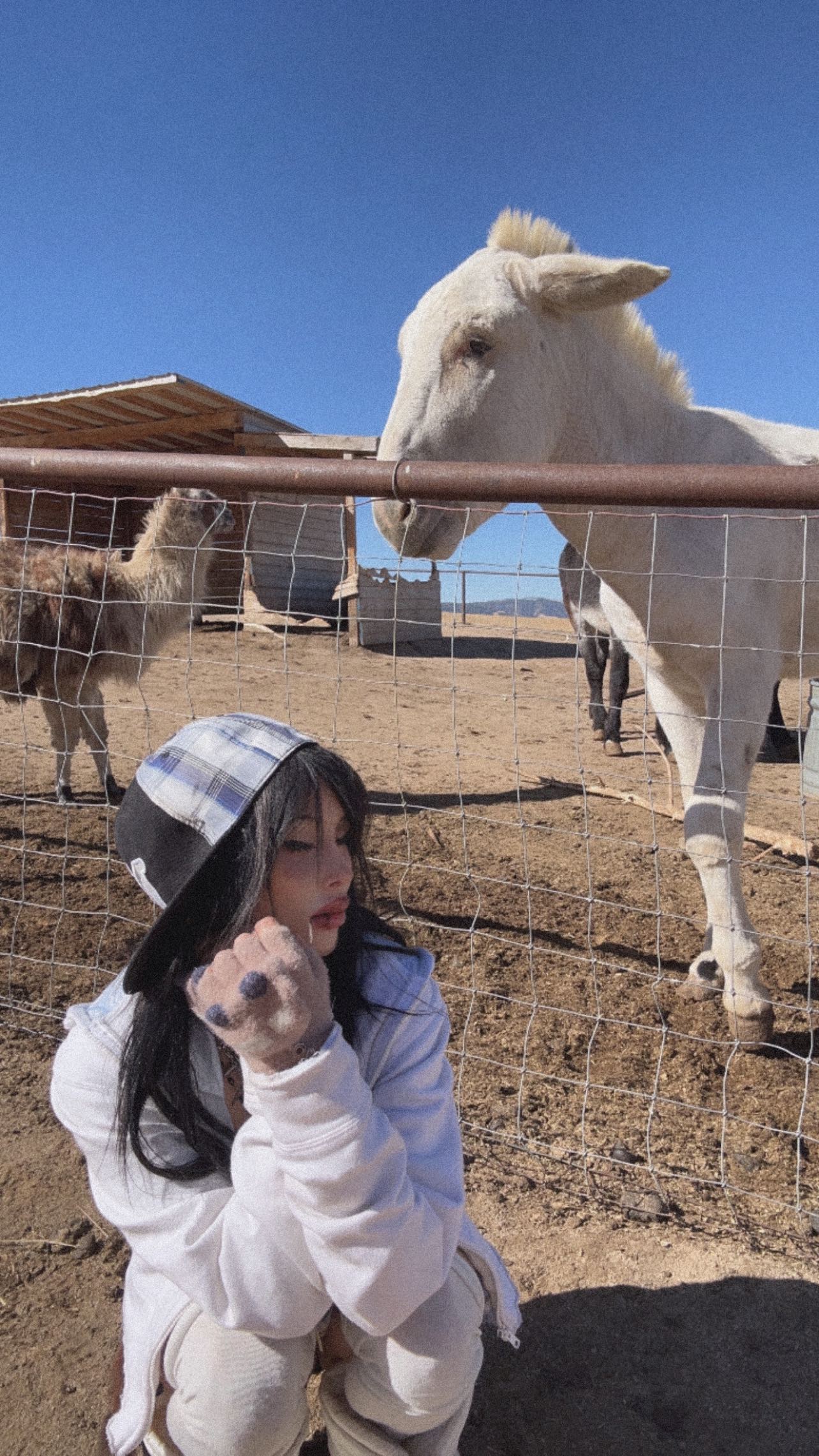 zommmbri instagram image archive image