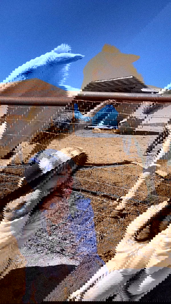 zommmbri image ~ Altpins