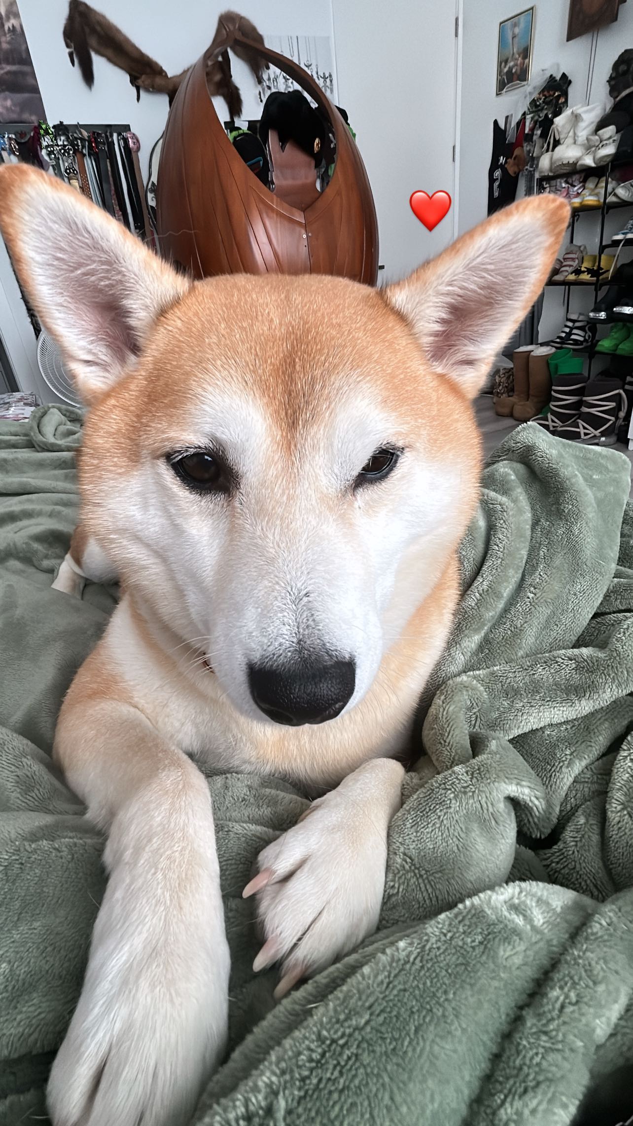 zommmbri instagram image archive image