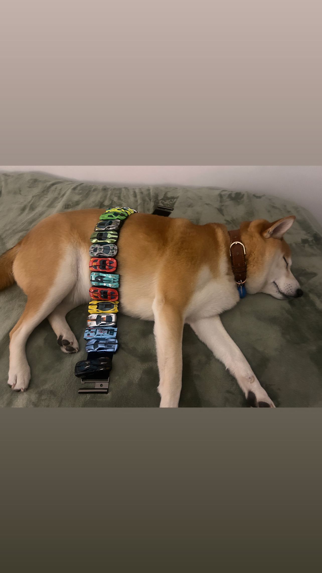 zommmbri instagram image archive image